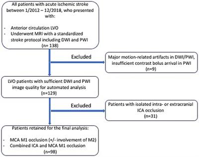 Recruitment of pial collaterals and carotid occlusive disease in large-vessel occlusion ischemic stroke